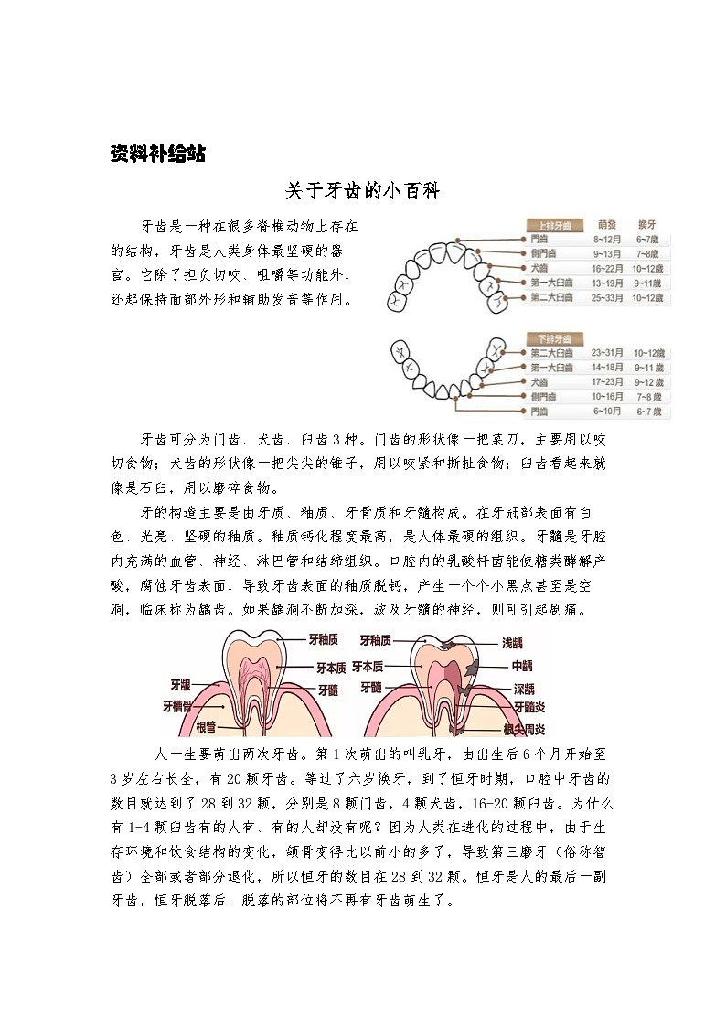 【新】教科版科学四年级上册第2单元7.食物在口腔里的变化PPT课件+习题+教学设计+视频素材02
