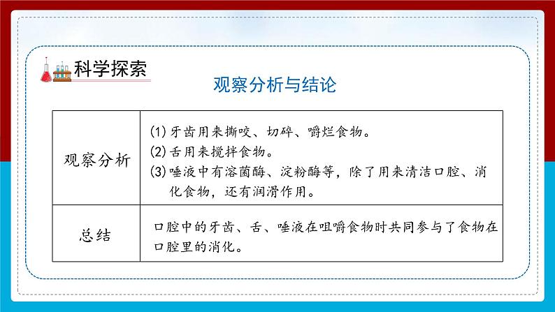 【新】教科版科学四年级上册第2单元7.食物在口腔里的变化PPT课件+习题+教学设计+视频素材07