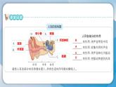 【新】教科版科学四年级上册第1单元4.我们是怎样听到声音的习题课件PPT