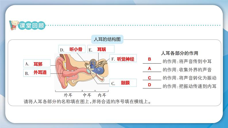 【新】教科版科学四年级上册第1单元4.我们是怎样听到声音的习题课件PPT第3页