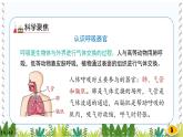 【新】教科版科学四年级上册第2单元1.感受我们的呼吸课件PPT