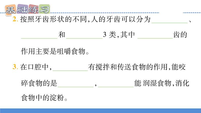 【新】教科版科学四年级上册第2单元7.食物在口腔里的变化习题课件PPT第8页