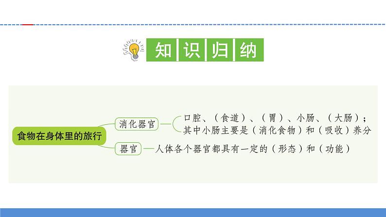 【新】教科版科学四年级上册第2单元8.食物在身体里的旅行习题课件PPT第2页