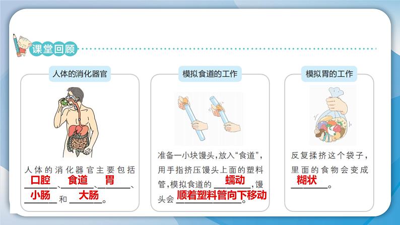 【新】教科版科学四年级上册第2单元8.食物在身体里的旅行习题课件PPT第3页