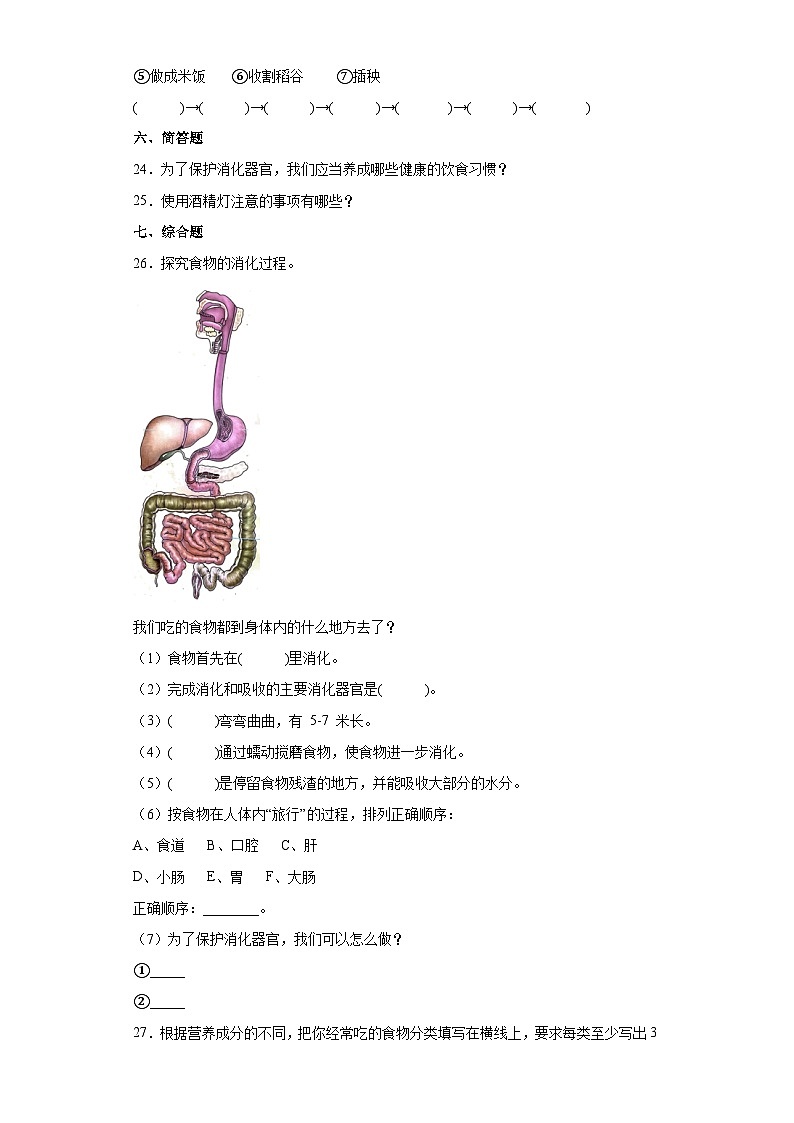人教鄂教版科学三年级上册 第一单元 食物与消化 单元练习（ 含答案）第3页