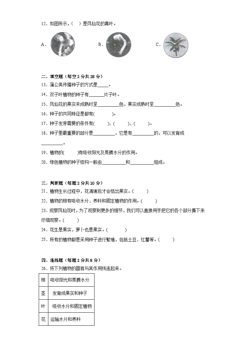 教科版四年级下册第一单元植物的生长变化测试题（二）附答案02