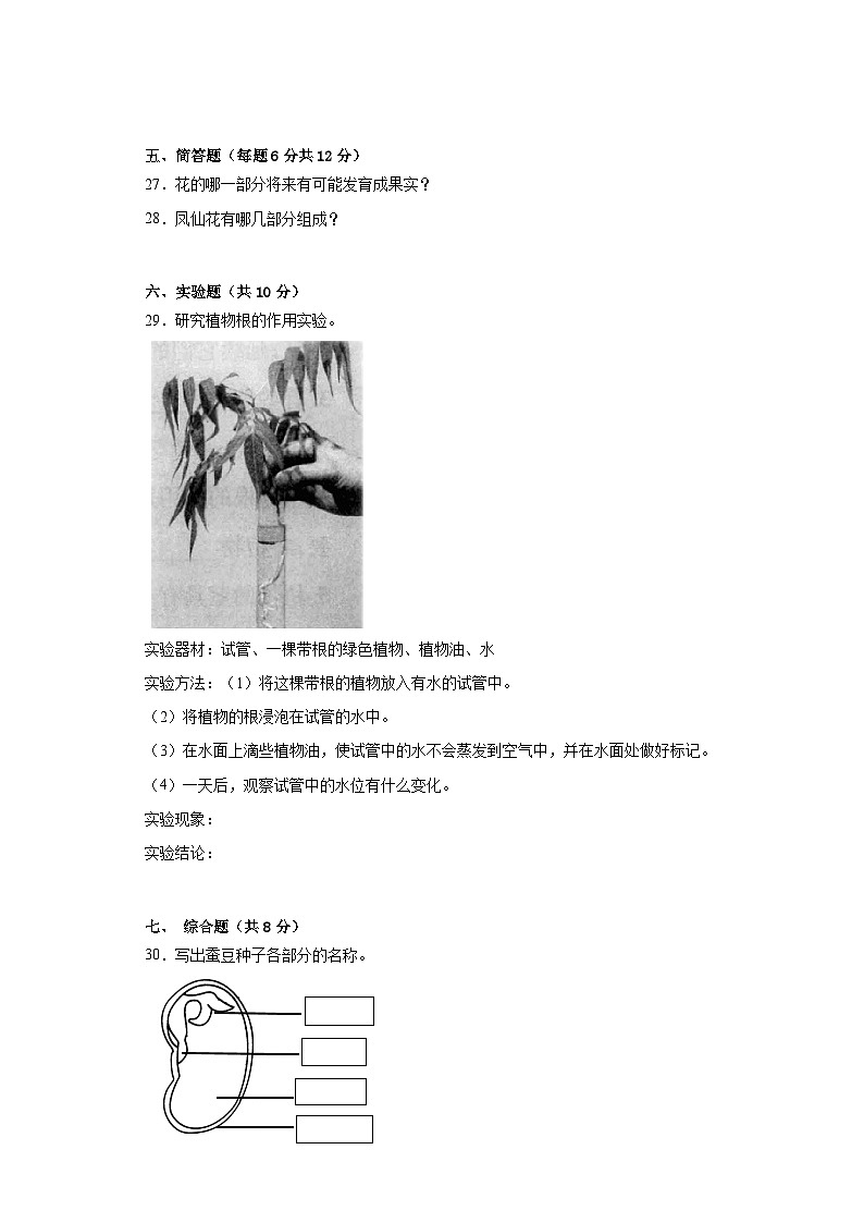 教科版四年级下册第一单元植物的生长变化测试题（二）附答案03