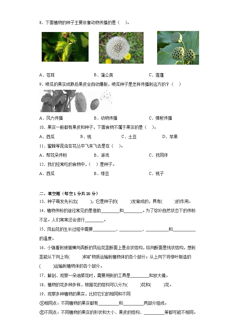 教科版四年级下册第一单元植物的生长变化测试题（三）附答案第2页