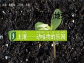 教科版科学二年级上册第一单元 我们的地球家园 2 土壤——动植物的乐园课件+素材