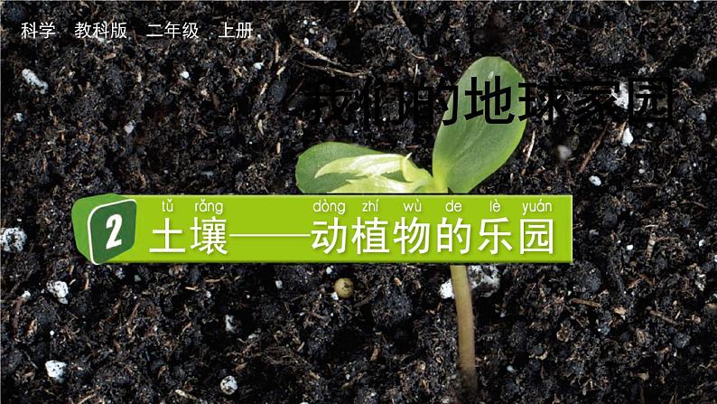 教科版科学二年级上册第一单元 我们的地球家园 2 土壤——动植物的乐园课件+素材01