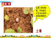教科版科学二年级上册第一单元 我们的地球家园 2 土壤——动植物的乐园课件+素材