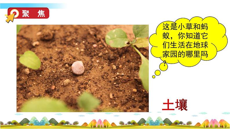 教科版科学二年级上册第一单元 我们的地球家园 2 土壤——动植物的乐园课件+素材04