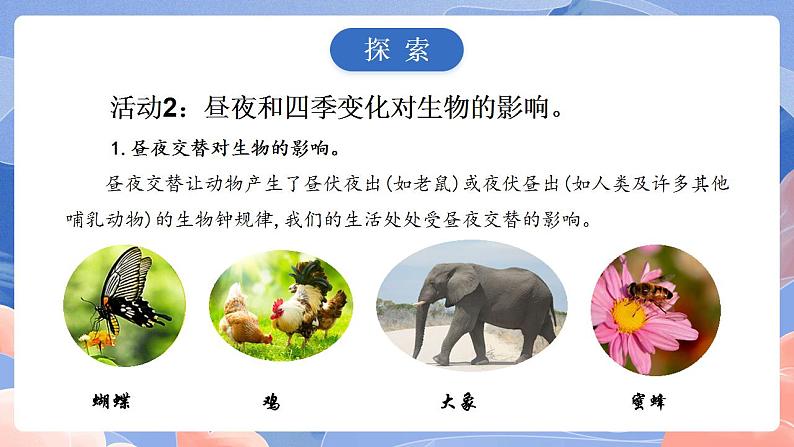 【核心素养目标】教科版小学科学六年级上册2.7《昼夜和四季变化对生物的影响》课件+教案(含教学反思)06