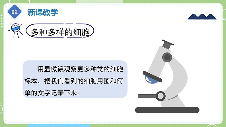 教科版科学六年级上册   1.5《观察更多的生物细胞》课件08