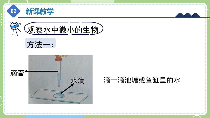 教科版科学六年级上册   1.6《观察水中微小的生物》课件08