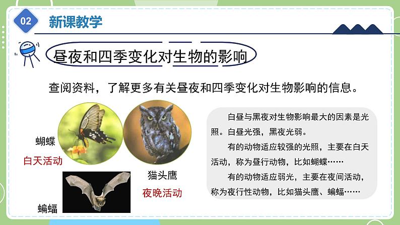 教科版科学六年级上册   2.7《昼夜和四季变化对生物的影响》课件07