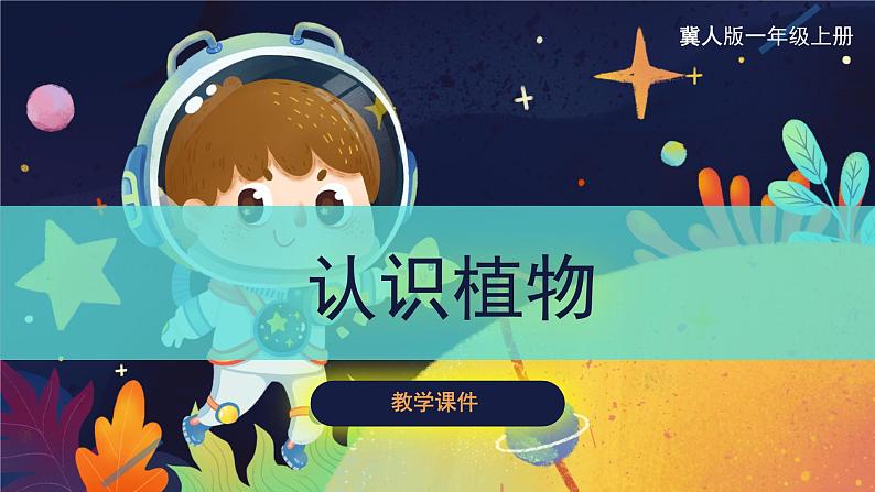 冀人版一上科学 2.5《认识植物》课件01