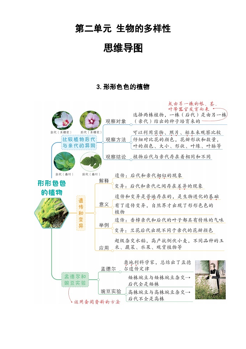 【思维导图】教科版科学六年级下册-第二单元《生物的多样性》思维导图（共7课）第3页