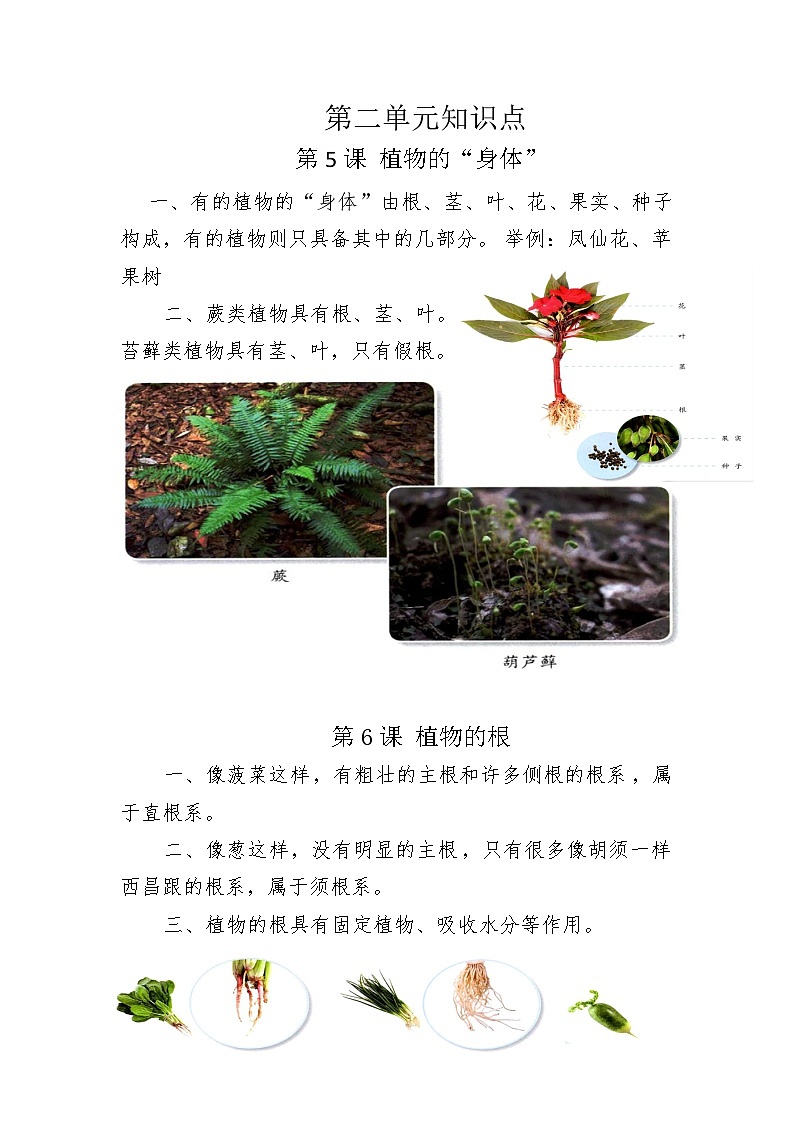 第2单元知识点01