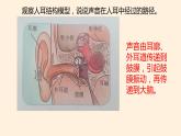 冀人版四年級(jí)科學(xué)上冊(cè)9.怎樣聽到聲音教學(xué)課件