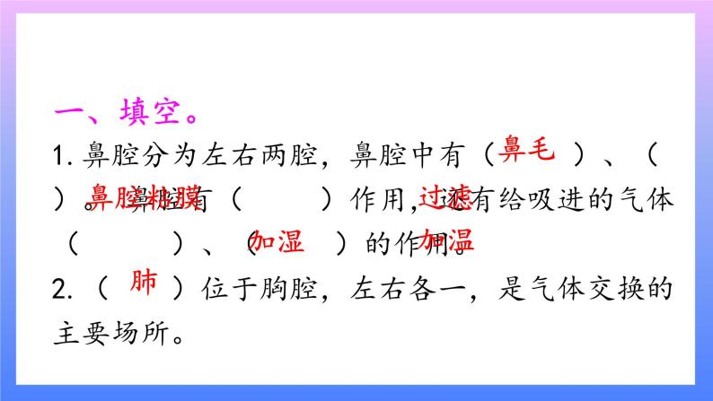 大象版科学四年级上册4.2我们的呼吸器官 课件+教案+课件练习02