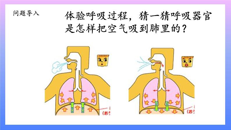 大象版科学四年级上册4.3肺是怎样呼吸的 课件+教案+课件练习+素材02