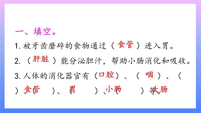 大象版科学四年级上册5.1一次神奇的旅行 课件+教案+课件练习+素材02