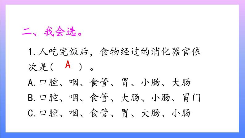 大象版科学四年级上册5.1一次神奇的旅行 课件+教案+课件练习+素材03