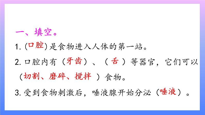 大象版科学四年级上册5.2口腔“历险记”  课件+教案+课件练习+素材02