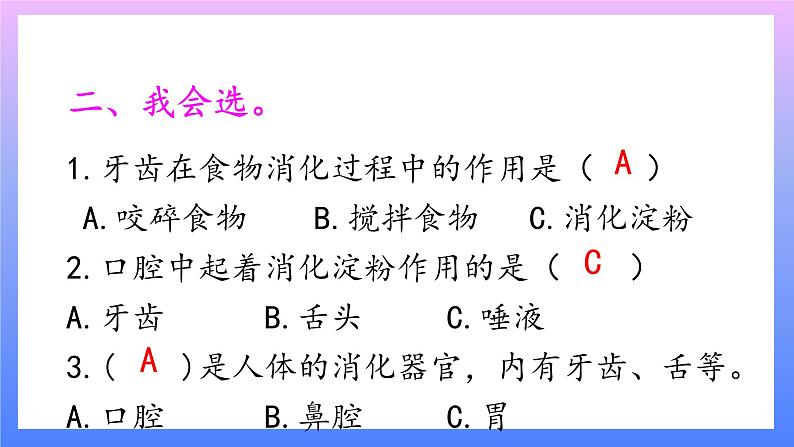 大象版科学四年级上册5.2口腔“历险记”  课件+教案+课件练习+素材03