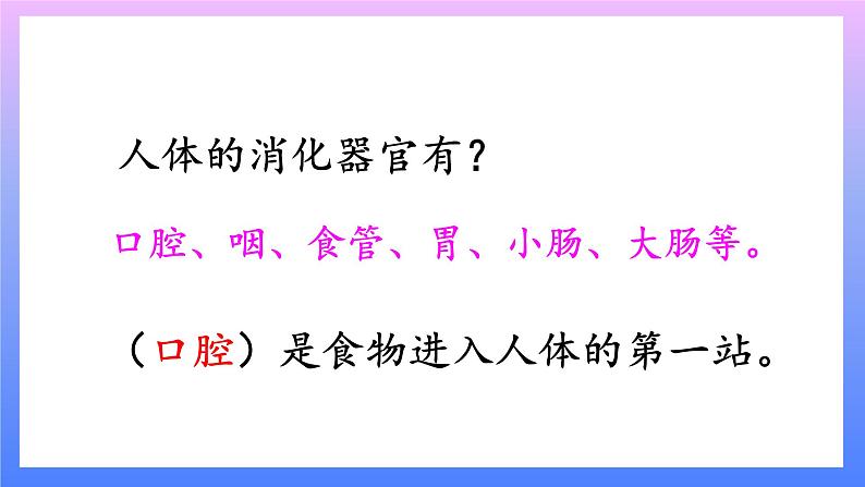 大象版科学四年级上册5.2口腔“历险记”  课件+教案+课件练习+素材02