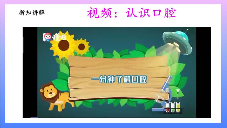 大象版科学四年级上册5.2口腔“历险记”  课件+教案+课件练习+素材04