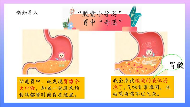 大象版科学四年级上册5.3胃中“奇遇记” 课件+教案+课件练习+素材03