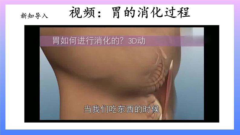 大象版科学四年级上册5.3胃中“奇遇记” 课件+教案+课件练习+素材05