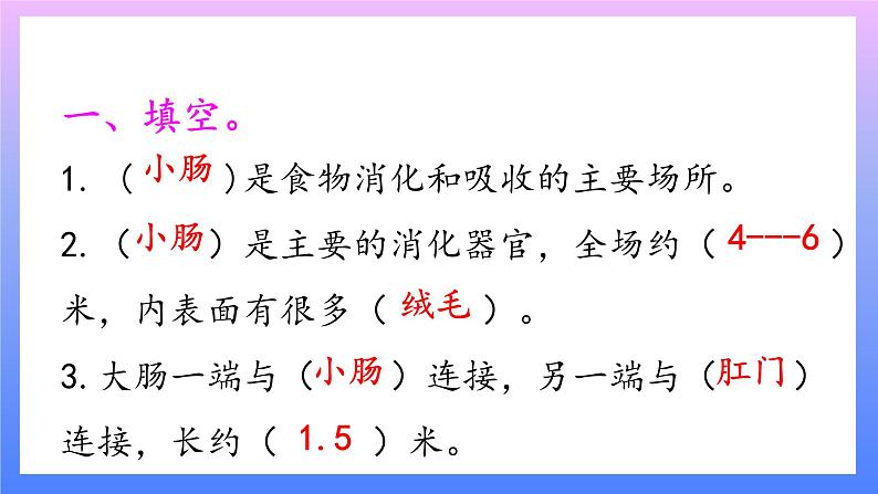 大象版科学四年级上册5.4蜿蜒的旅行 课件+教案+课件练习+素材02