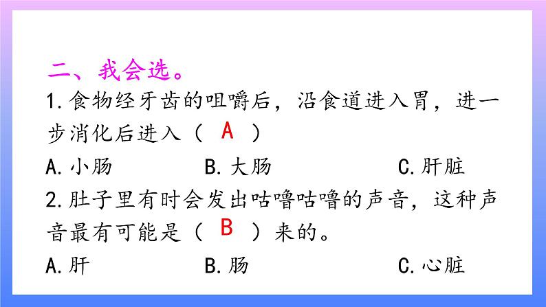 大象版科学四年级上册5.4蜿蜒的旅行 课件+教案+课件练习+素材03