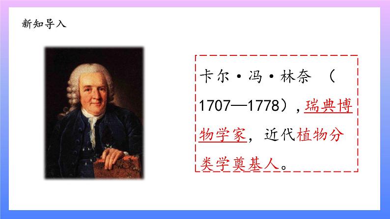 大象版科学四年级上册反思单元：伟大的命名者 课件+教案+课件练习+素材02