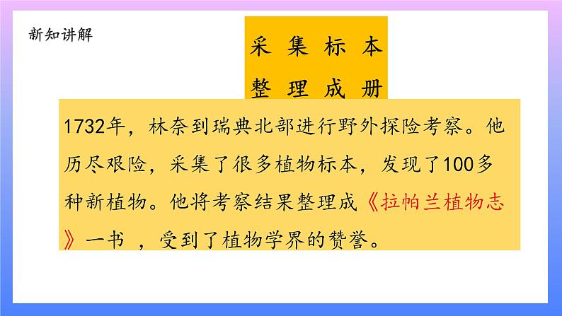 大象版科学四年级上册反思单元：伟大的命名者 课件+教案+课件练习+素材04