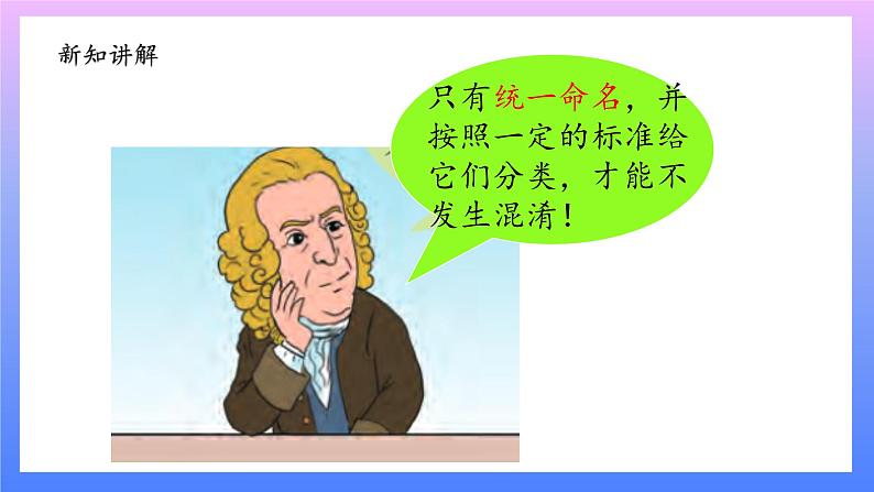 大象版科学四年级上册反思单元：伟大的命名者 课件+教案+课件练习+素材05
