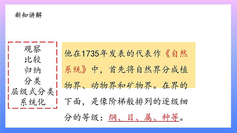 大象版科学四年级上册反思单元：伟大的命名者 课件+教案+课件练习+素材06