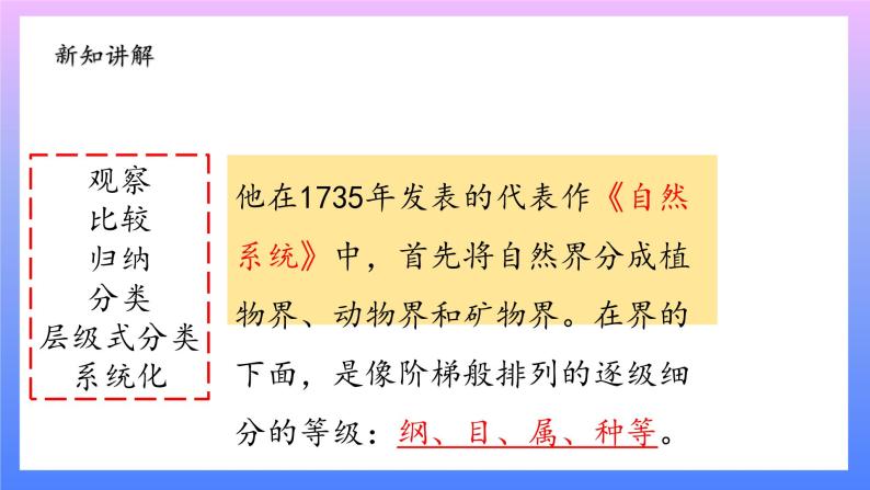 大象版科学四年级上册反思单元：伟大的命名者 课件+教案+课件练习+素材06