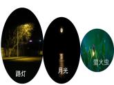 五年级上册科学教科版1.1有关光的思考教学课件