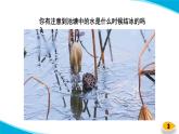 【新】教科版科学三年级上册第1单元3.水结冰了PPT课件7