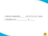 【习题课件】教科版科学三年级上册第1单元6.加快溶解PPT课件5