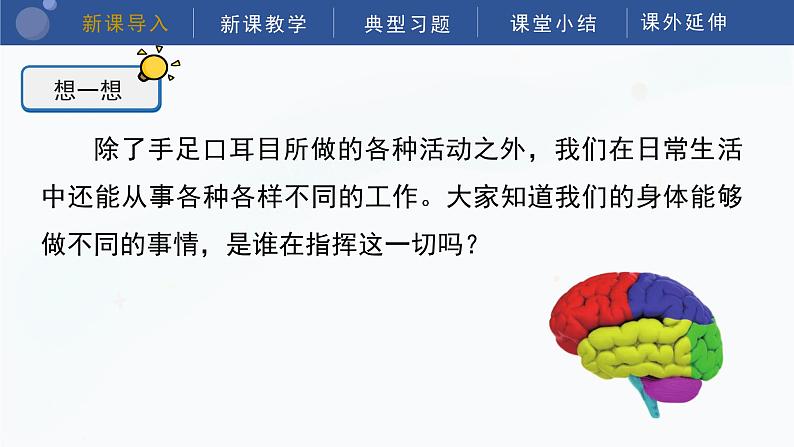 教科版五上科学  4.4 身体的“总指挥” 课件第5页