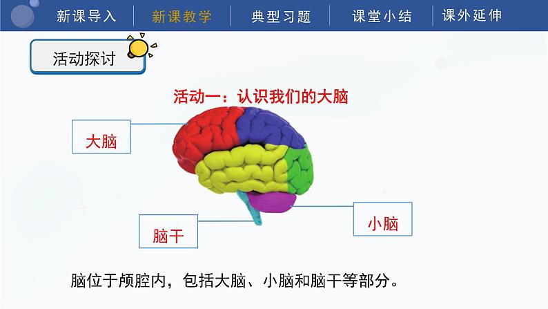 教科版五上科学  4.4 身体的“总指挥” 课件第8页