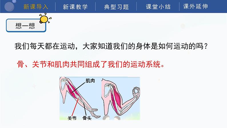 教科版五上科学  4.2 身体的运动 课件04