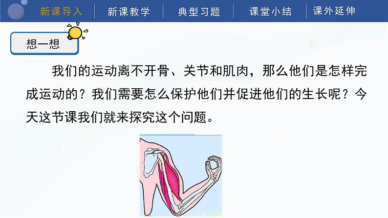 教科版五上科学  4.2 身体的运动 课件05