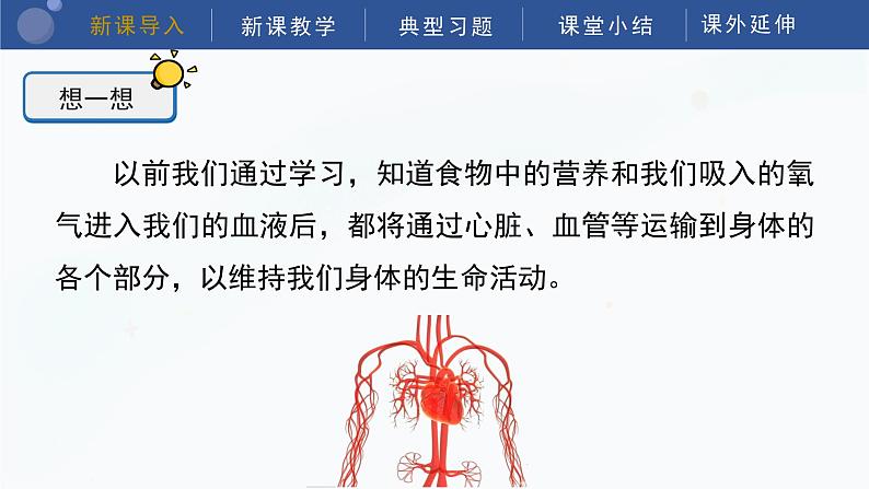 教科版五上科学  4.3 心脏和血液 课件04