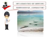 【新】教科版科学三年级上册第1单元7.混合与分离PPT课件8
